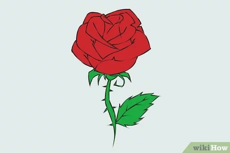 How to Draw a Rose Flower | गुलाब का फूल कैसे बनाएं